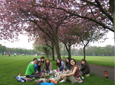 picnic